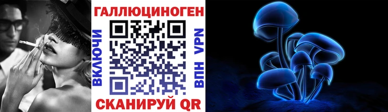 гидра онион  Лермонтов  Псилоцибиновые грибы Psilocybine cubensis 